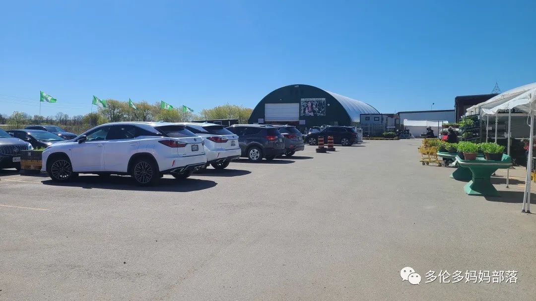 “菜根花大宝贝”探店19街农场菜园子：菜苗又绿又便宜，粪土又肥又多样！