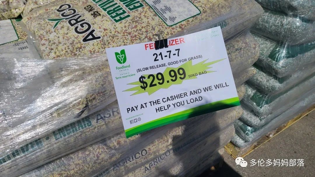 “菜根花大宝贝”探店19街农场菜园子：菜苗又绿又便宜，粪土又肥又多样！