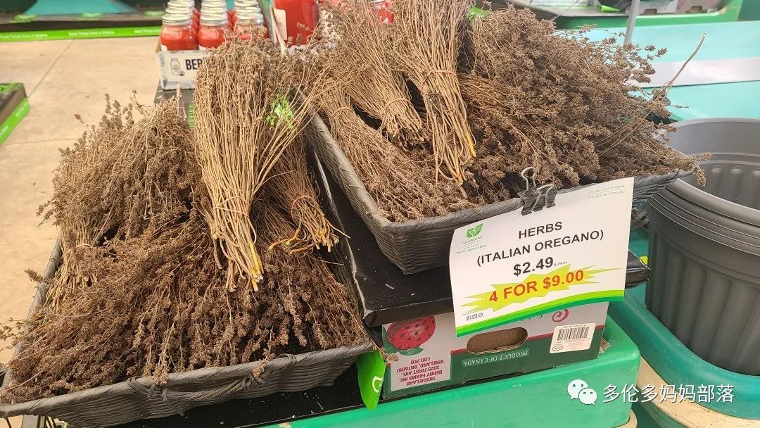 “菜根花大宝贝”探店19街农场菜园子：菜苗又绿又便宜，粪土又肥又多样！