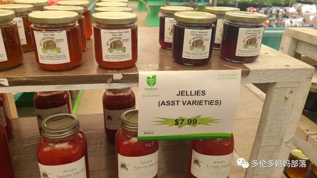 “菜根花大宝贝”探店19街农场菜园子：菜苗又绿又便宜，粪土又肥又多样！