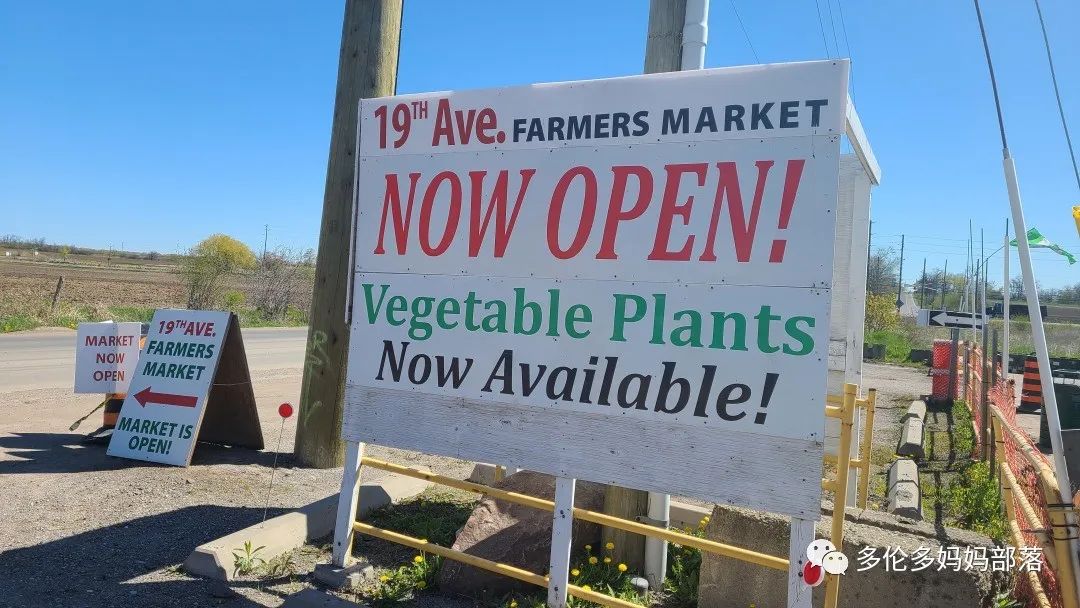 “菜根花大宝贝”探店19街农场菜园子：菜苗又绿又便宜，粪土又肥又多样！