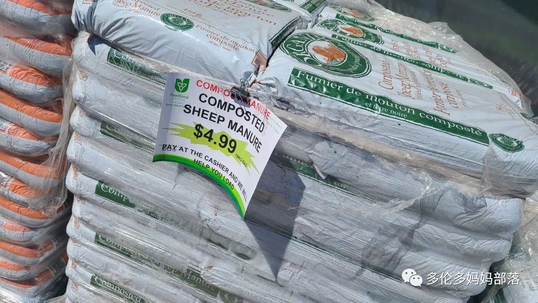 “菜根花大宝贝”探店19街农场菜园子：菜苗又绿又便宜，粪土又肥又多样！