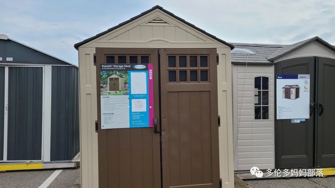 【探店】审美在线的Low's高颜值铁线莲、玫瑰、绿植上架，海量细节生图曝光