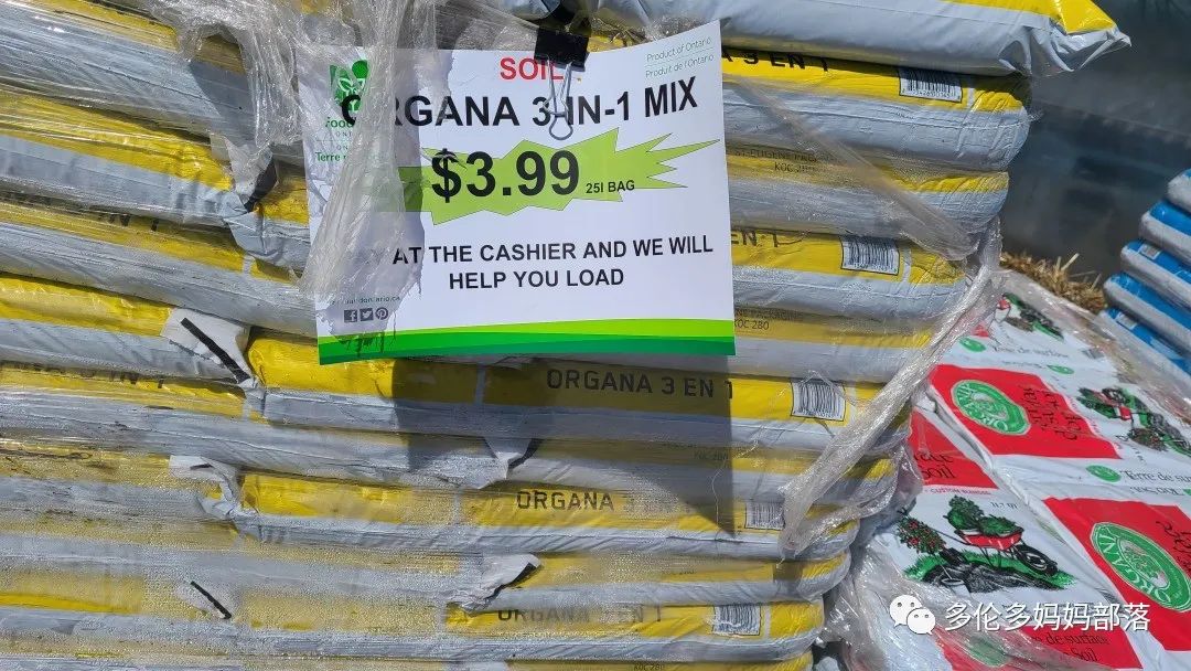 “菜根花大宝贝”探店19街农场菜园子：菜苗又绿又便宜，粪土又肥又多样！