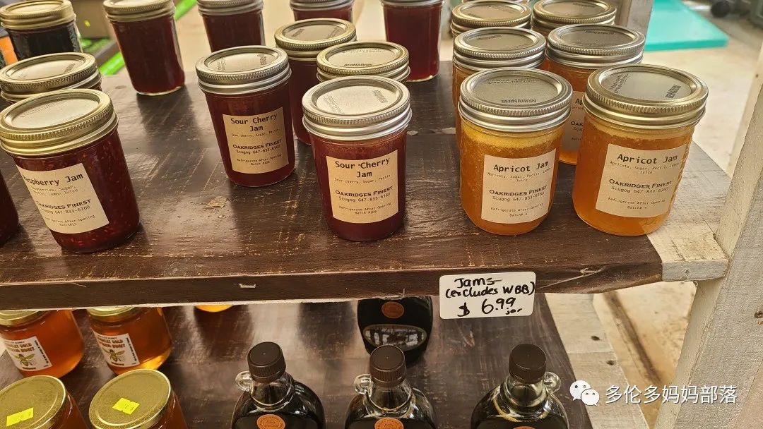 “菜根花大宝贝”探店19街农场菜园子：菜苗又绿又便宜，粪土又肥又多样！