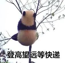 互动赢618开门红好礼! 千款爆品低至3折起!带你深度了解淘宝加拿大“本地发货” 互动赢618开门红好礼! 千款爆品低至3折起!带你深度了解淘宝加拿大“本地发货”