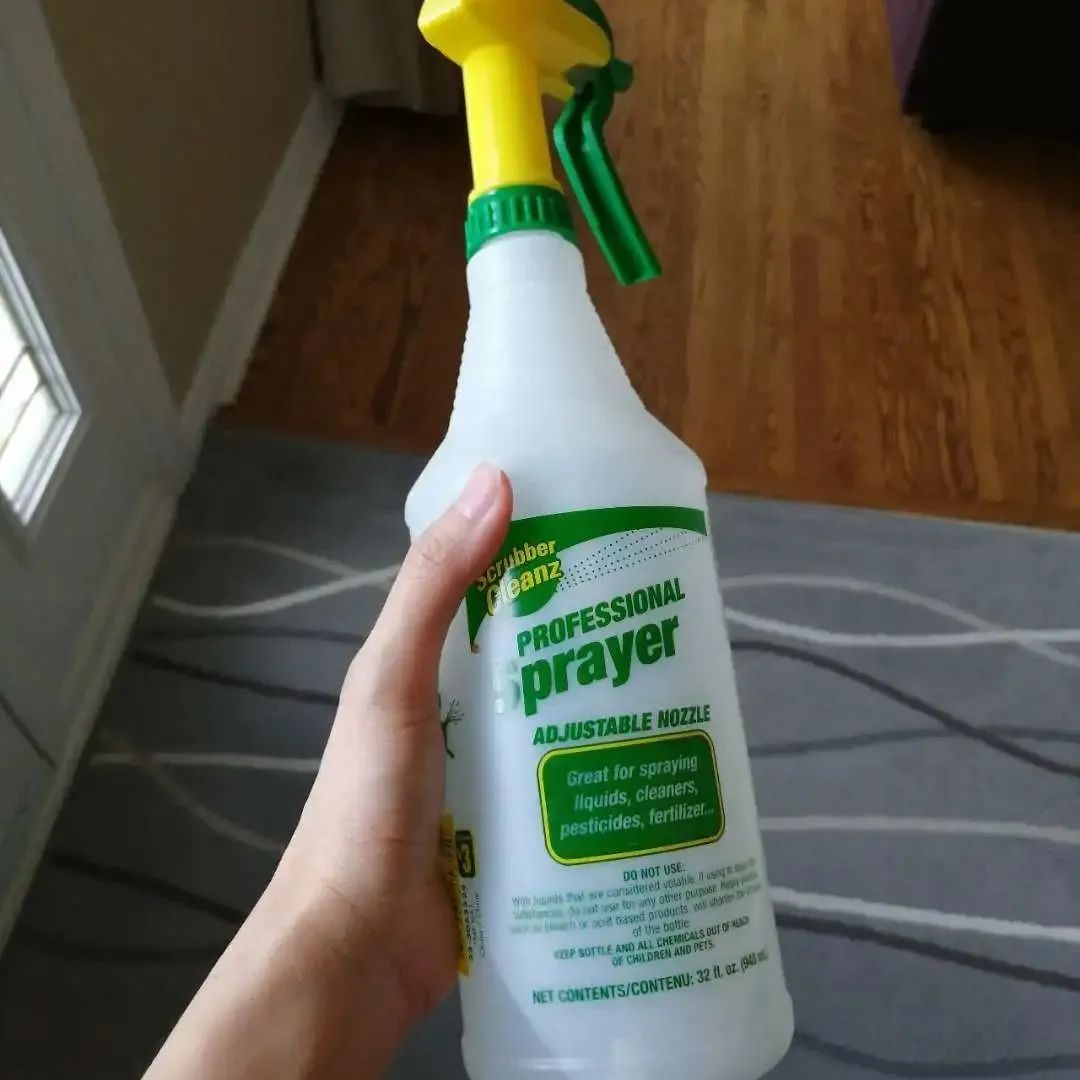 安省黑毛毛虫大爆发，手把手教你怎么搞死它！（有虫图，不适，慎点）