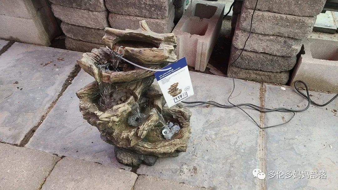 【探店】审美在线的Low's高颜值铁线莲、玫瑰、绿植上架，海量细节生图曝光