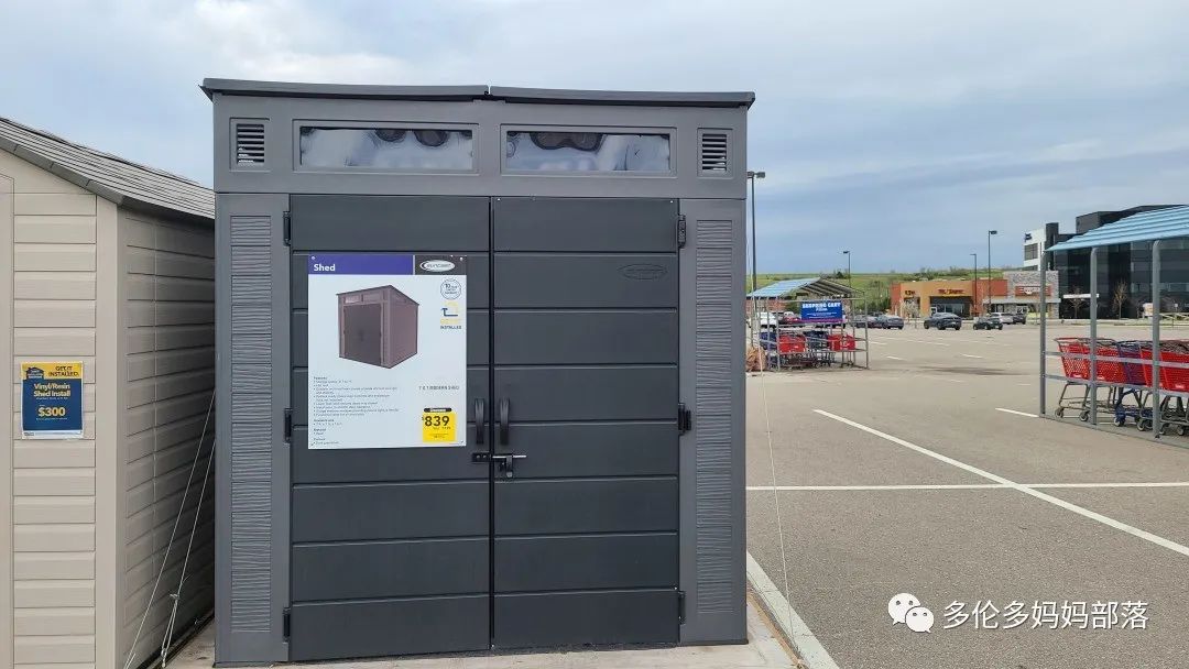 【探店】审美在线的Low's高颜值铁线莲、玫瑰、绿植上架，海量细节生图曝光