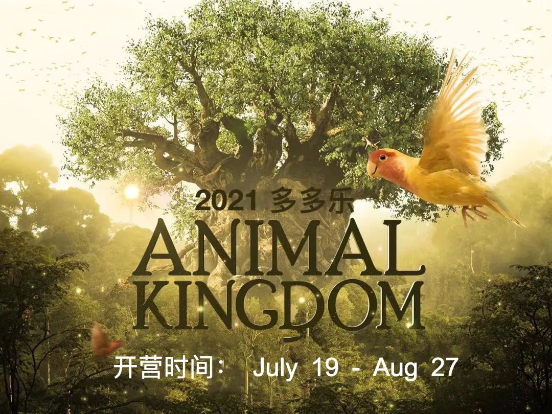 全网爆梗:什么是快乐星球?终于找到答案了! 全网爆梗:什么是快乐星球?终于找到答案了!