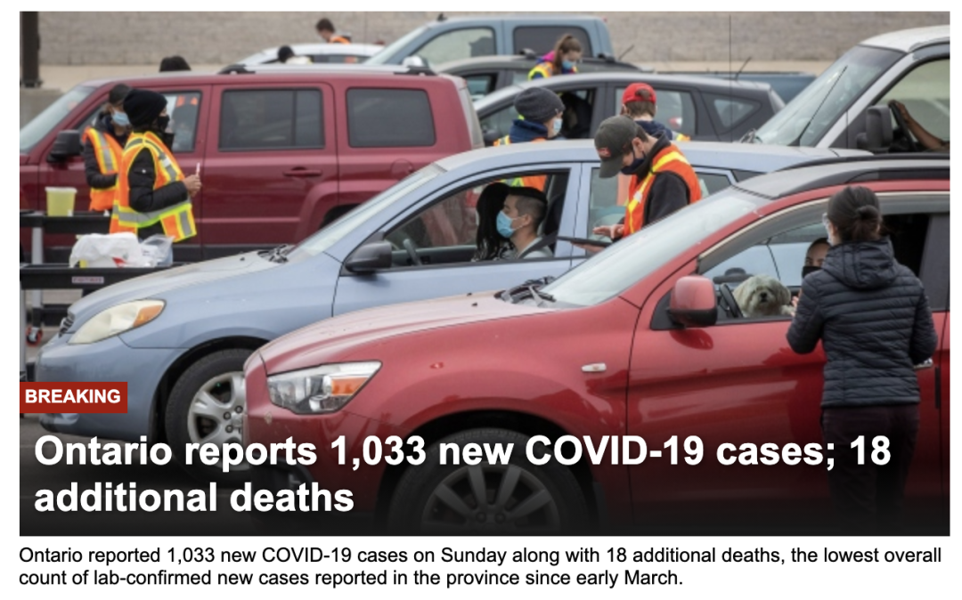 安省黑毛毛虫大爆发，手把手教你怎么搞死它！（有虫图，不适，慎点）