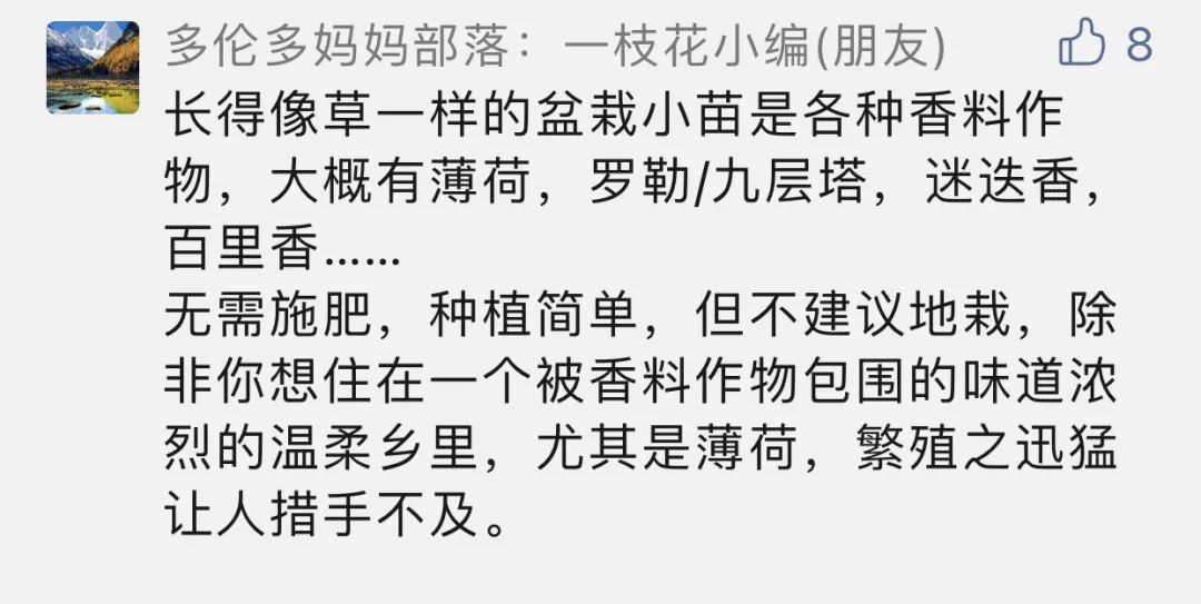 Costco本周门店实拍:你们到底是馋身子还是馋段子? Costco本周门店实拍:你们到底是馋身子还是馋段子?