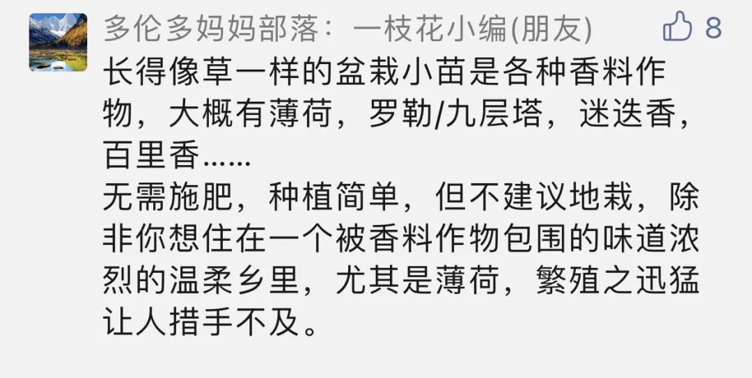 Costco本周门店实拍：你们到底是馋身子还是馋段子？