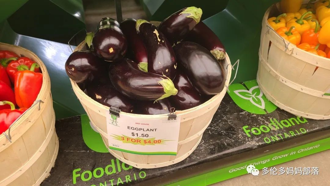 “菜根花大宝贝”探店19街农场菜园子：菜苗又绿又便宜，粪土又肥又多样！