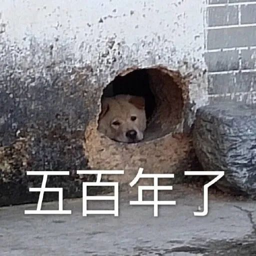 互动赢618开门红好礼! 千款爆品低至3折起!带你深度了解淘宝加拿大“本地发货” 互动赢618开门红好礼! 千款爆品低至3折起!带你深度了解淘宝加拿大“本地发货”