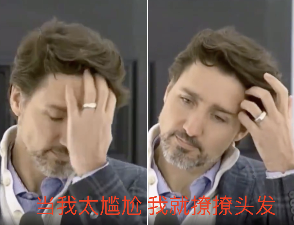 露鸟?咖啡杯接尿?加拿大某政客在视频会议时的大型社死事件 露鸟?咖啡杯接尿?加拿大某政客在视频会议时的大型社死事件
