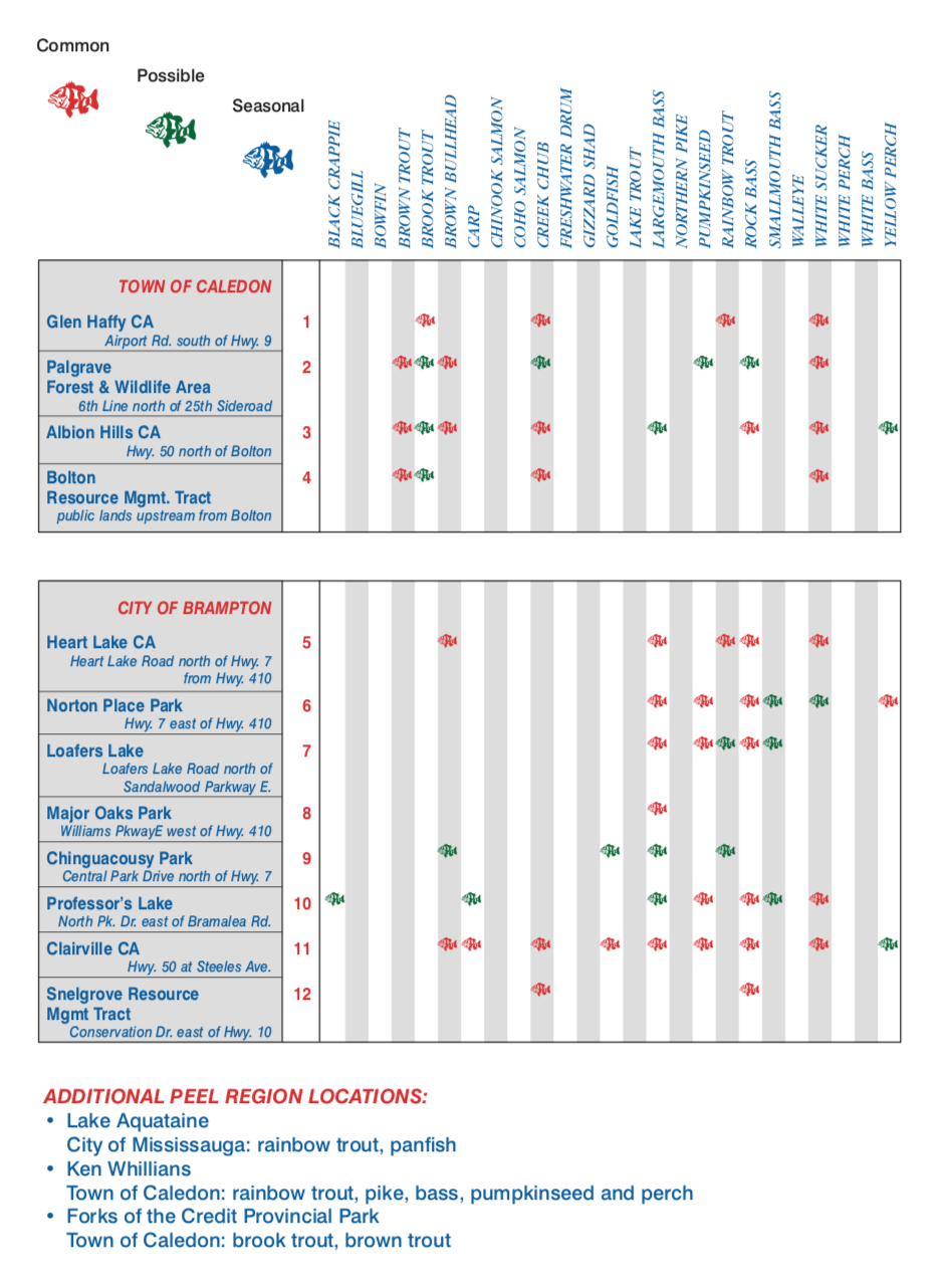 父亲节钓鱼免鱼牌!2021安省钓鱼全攻略,码住收藏! 父亲节钓鱼免鱼牌!2021安省钓鱼全攻略,码住收藏!