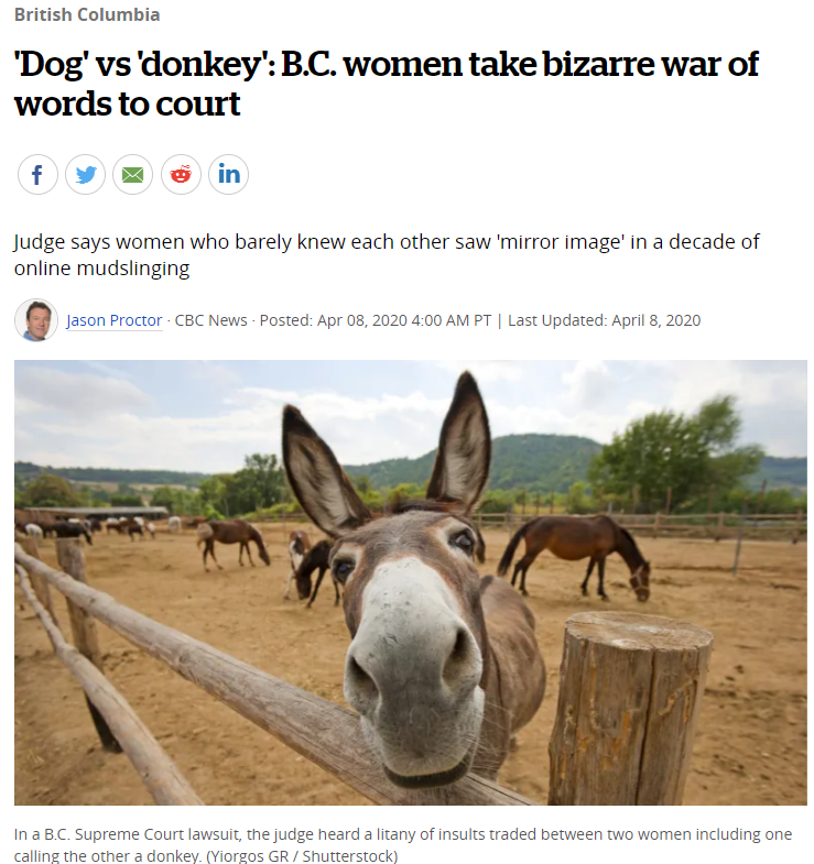 疯了！温哥华华裔女子网络撕逼15年，闹上法庭直接持刀砍人！