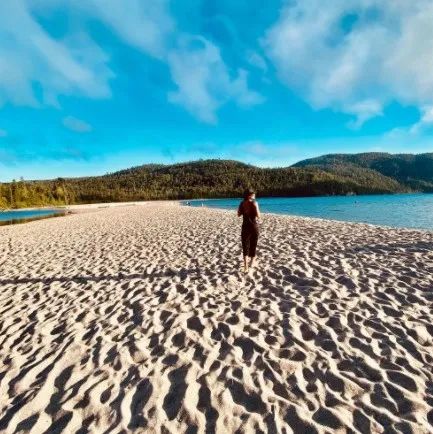 草莓红了！抢先踩点实拍！多伦多周边摘草莓农场盘点