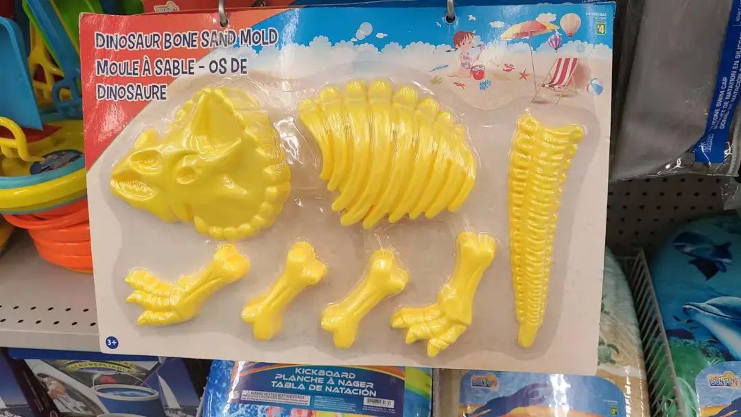 探店Dollarama玩水玩具：逛地摊的快感，总有一款不适合你！