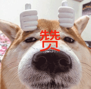 探店传说中的OPM开仓！除了老板娘，全部打折到底！