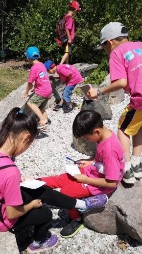 纷纷抢位!线上线下同步!未来科技大佬们:这个夏令营A爆了! 纷纷抢位!线上线下同步!未来科技大佬们:这个夏令营A爆了!
