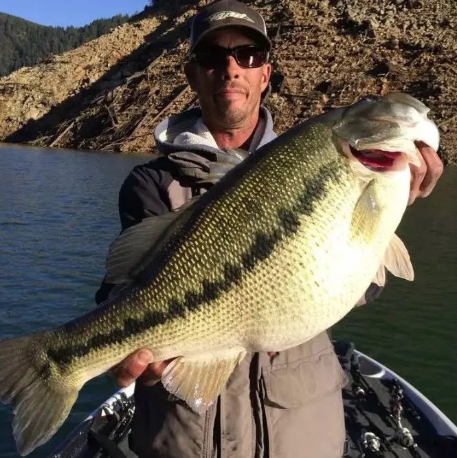 【一脚血泡预警】打卡湖心岛：各种花样玩法及停车攻略