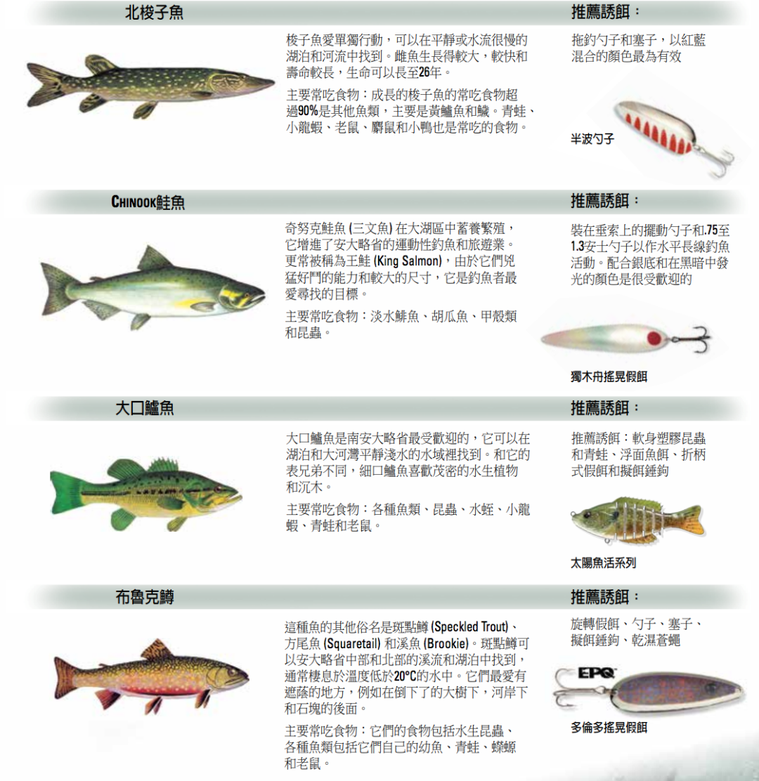 父亲节钓鱼免鱼牌!2021安省钓鱼全攻略,码住收藏! 父亲节钓鱼免鱼牌!2021安省钓鱼全攻略,码住收藏!