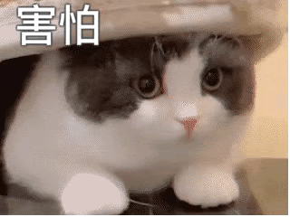 犯罪案件急升,解封后要自由更要小心身边的危险! 犯罪案件急升,解封后要自由更要小心身边的危险!