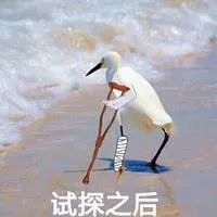 Costco门店实拍:想去读诗和看远方,奈何家里没有余粮 Costco门店实拍:想去读诗和看远方,奈何家里没有余粮