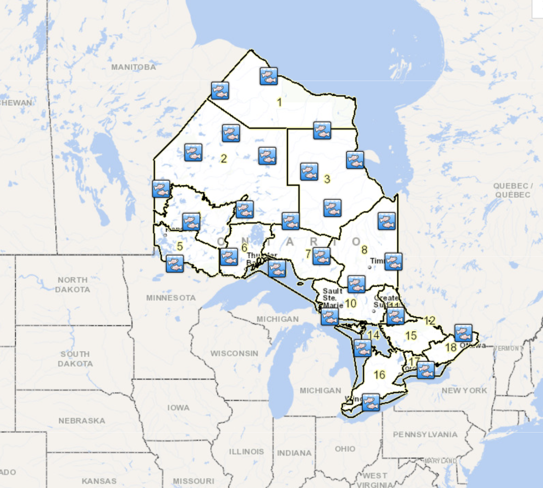 父亲节钓鱼免鱼牌!2021安省钓鱼全攻略,码住收藏! 父亲节钓鱼免鱼牌!2021安省钓鱼全攻略,码住收藏!