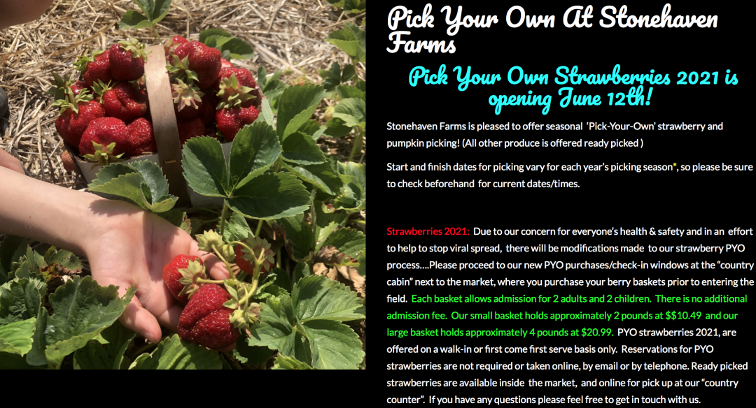 草莓红了！抢先踩点实拍！多伦多周边摘草莓农场盘点