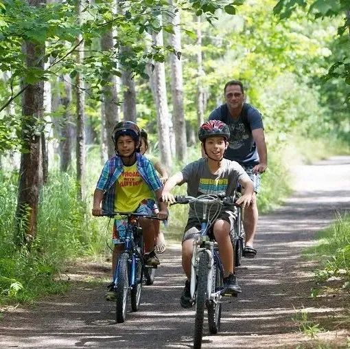 草莓红了！抢先踩点实拍！多伦多周边摘草莓农场盘点