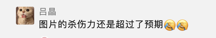 做出了一个违背祖训的决定：分享12个让小黑飞死光光的有效方法！