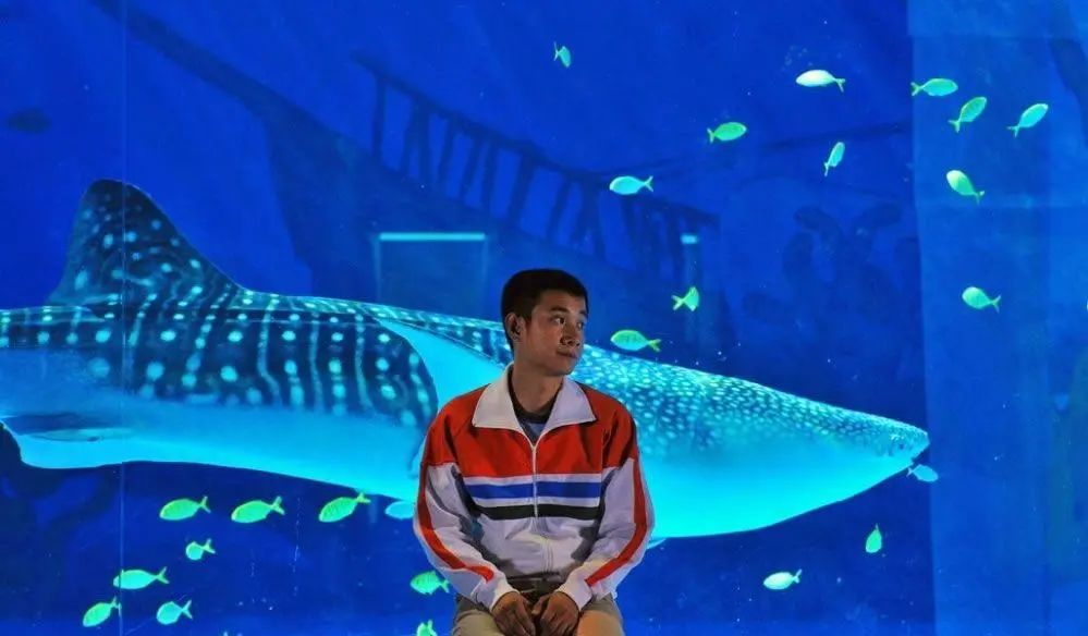 6部父爱如山的催泪瓦斯片：教孩子重新认识爸爸