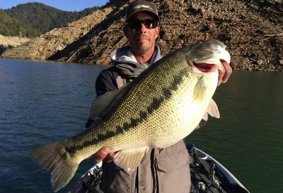 父亲节钓鱼免鱼牌!2021安省钓鱼全攻略,码住收藏! 父亲节钓鱼免鱼牌!2021安省钓鱼全攻略,码住收藏!