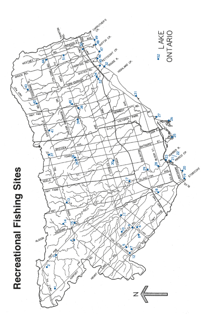 父亲节钓鱼免鱼牌!2021安省钓鱼全攻略,码住收藏! 父亲节钓鱼免鱼牌!2021安省钓鱼全攻略,码住收藏!