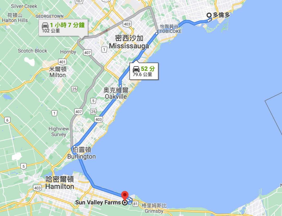 蹲着摘草莓,挂着摘樱桃!多伦多那些适合去打卡的摘摘乐果园 蹲着摘草莓,挂着摘樱桃!多伦多那些适合去打卡的摘摘乐果园