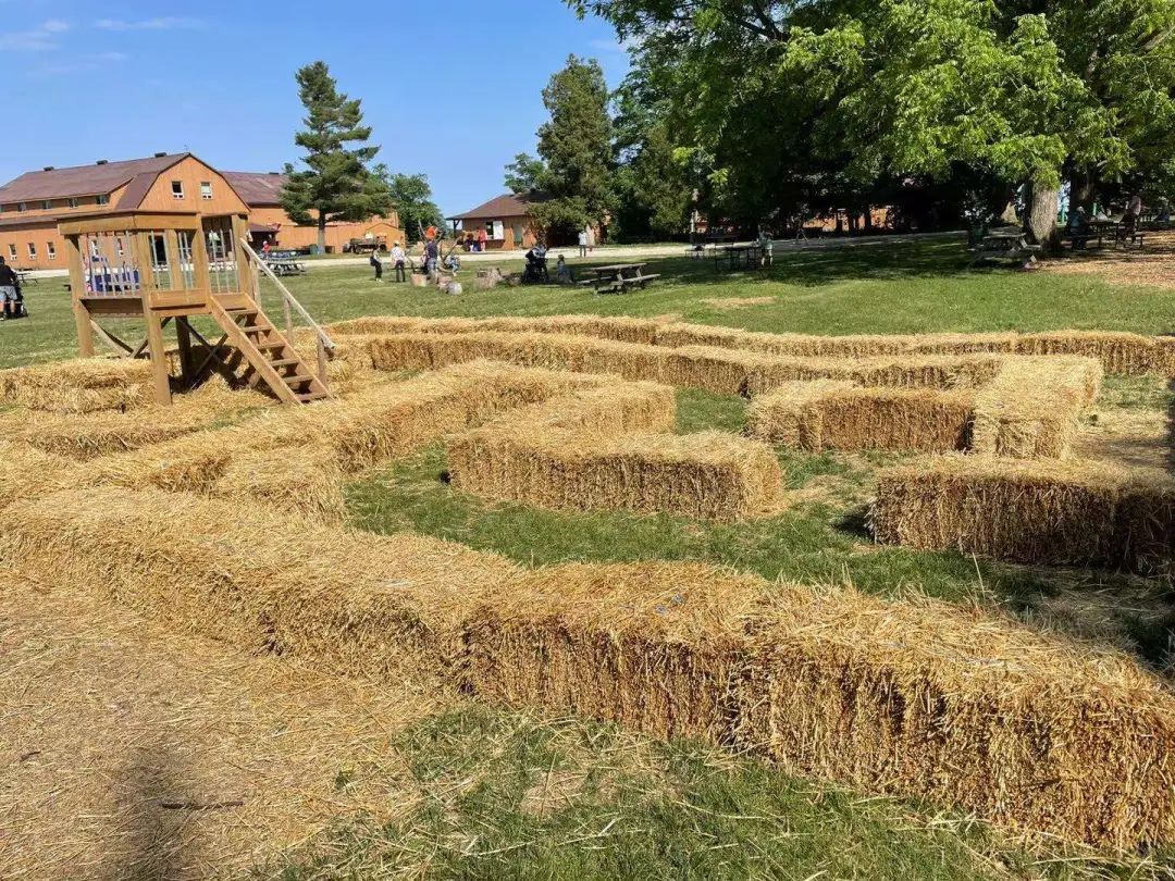 草莓红了！抢先踩点实拍！多伦多周边摘草莓农场盘点