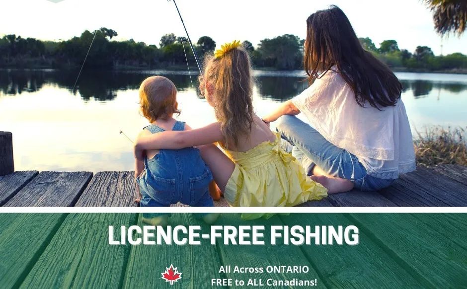 父亲节钓鱼免鱼牌!2021安省钓鱼全攻略,码住收藏! 父亲节钓鱼免鱼牌!2021安省钓鱼全攻略,码住收藏!