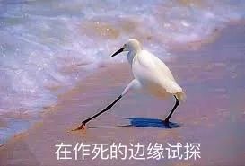 Costco门店实拍:想去读诗和看远方,奈何家里没有余粮 Costco门店实拍:想去读诗和看远方,奈何家里没有余粮
