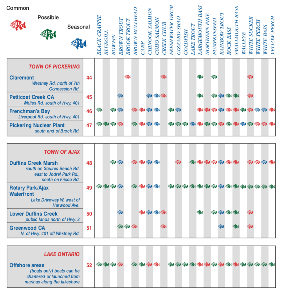 父亲节钓鱼免鱼牌!2021安省钓鱼全攻略,码住收藏! 父亲节钓鱼免鱼牌!2021安省钓鱼全攻略,码住收藏!