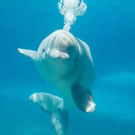 打卡Cobourg小镇：防疫超硬核！吃到了忍不住给小费的冰淇淋