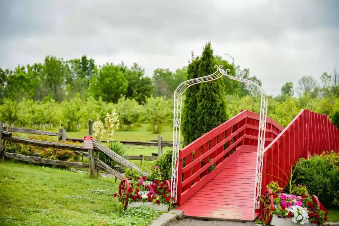 打卡The Big Apple：一个集中了游乐园动物园苹果园的非著名网红景点