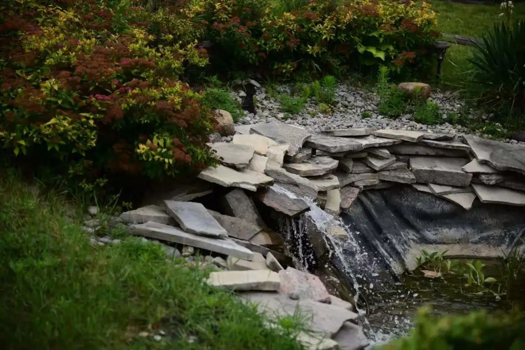 打卡The Big Apple：一个集中了游乐园动物园苹果园的非著名网红景点