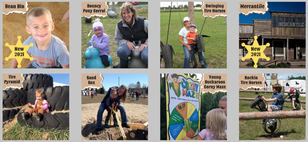 多伦多周边最美向日葵花海盘点：花期将近！打卡攻略码住收藏！