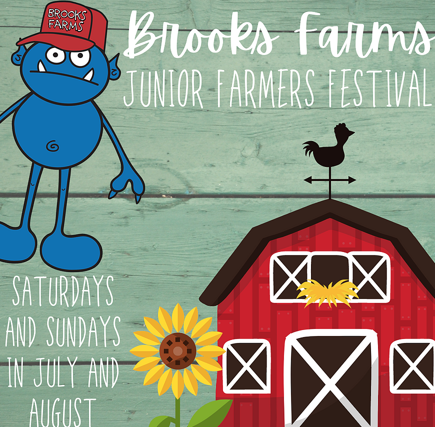 多伦多周边最美向日葵花海盘点：花期将近！打卡攻略码住收藏！