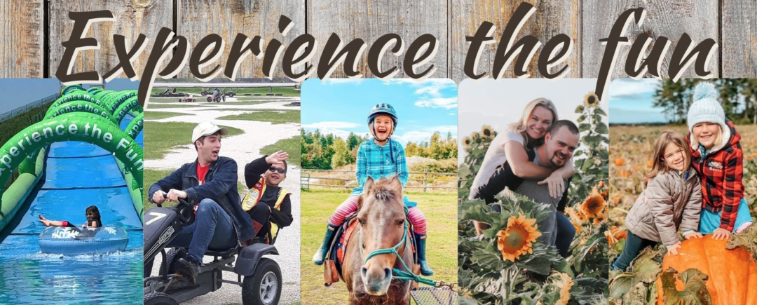 多伦多周边最美向日葵花海盘点：花期将近！打卡攻略码住收藏！