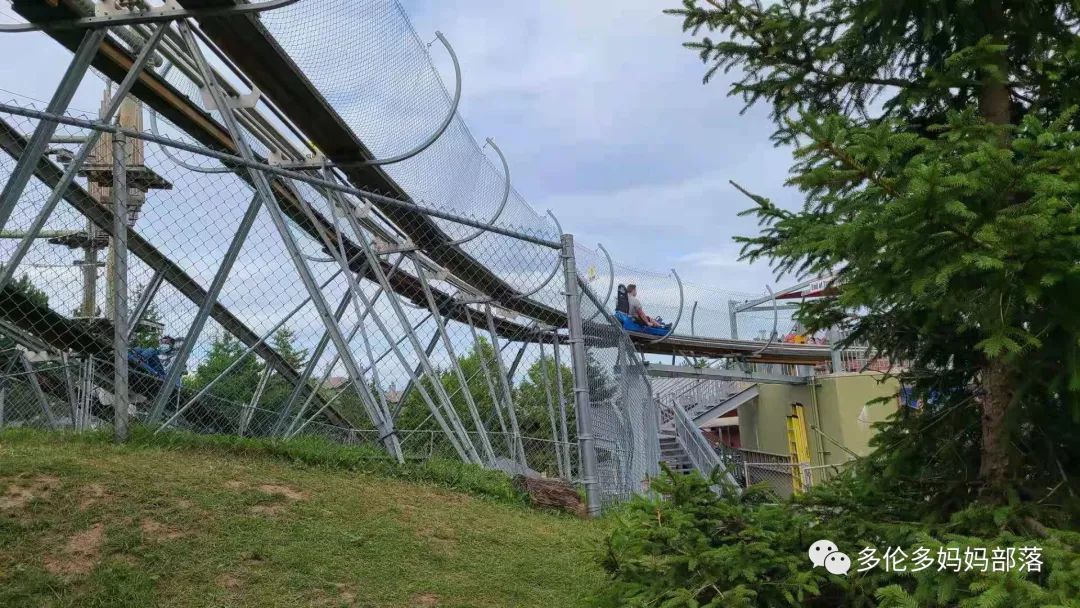 打卡蓝山每一条花路：去疯去狂去闯荡去坚强！