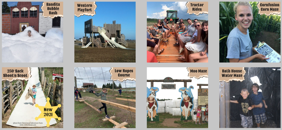 多伦多周边最美向日葵花海盘点：花期将近！打卡攻略码住收藏！